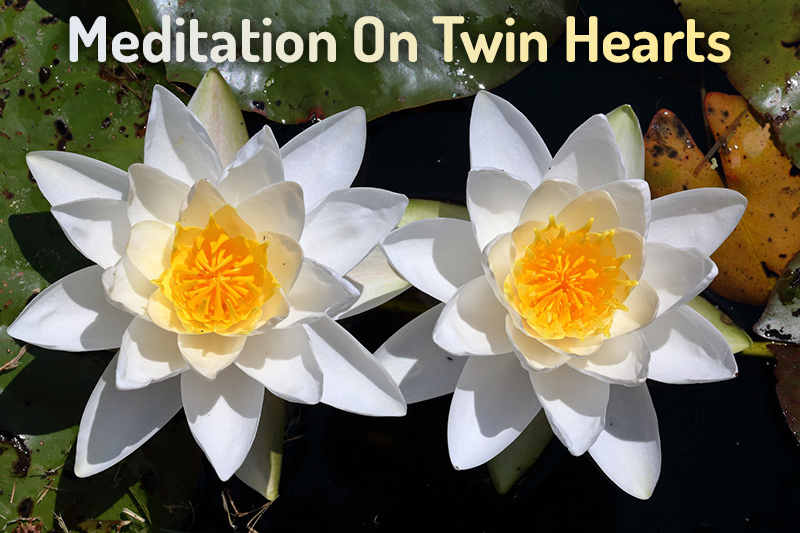 meditation on twin hearts
